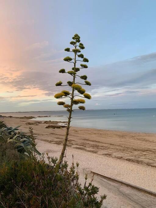 Cocon Neuf - 6 A 8 Pers 3 Chb Proche Plage, Port, Centre Ville Saint-Pierre-Quiberon Exterior photo