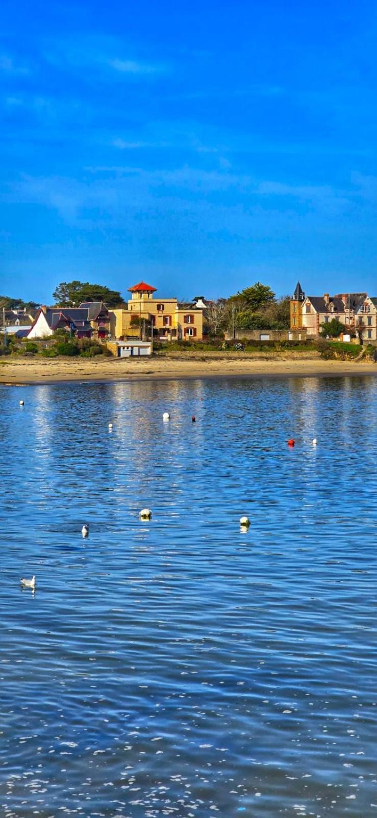 Cocon Neuf - 6 A 8 Pers 3 Chb Proche Plage, Port, Centre Ville Saint-Pierre-Quiberon Exterior photo