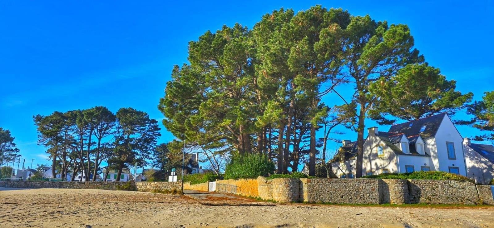 Cocon Neuf - 6 A 8 Pers 3 Chb Proche Plage, Port, Centre Ville Saint-Pierre-Quiberon Exterior photo